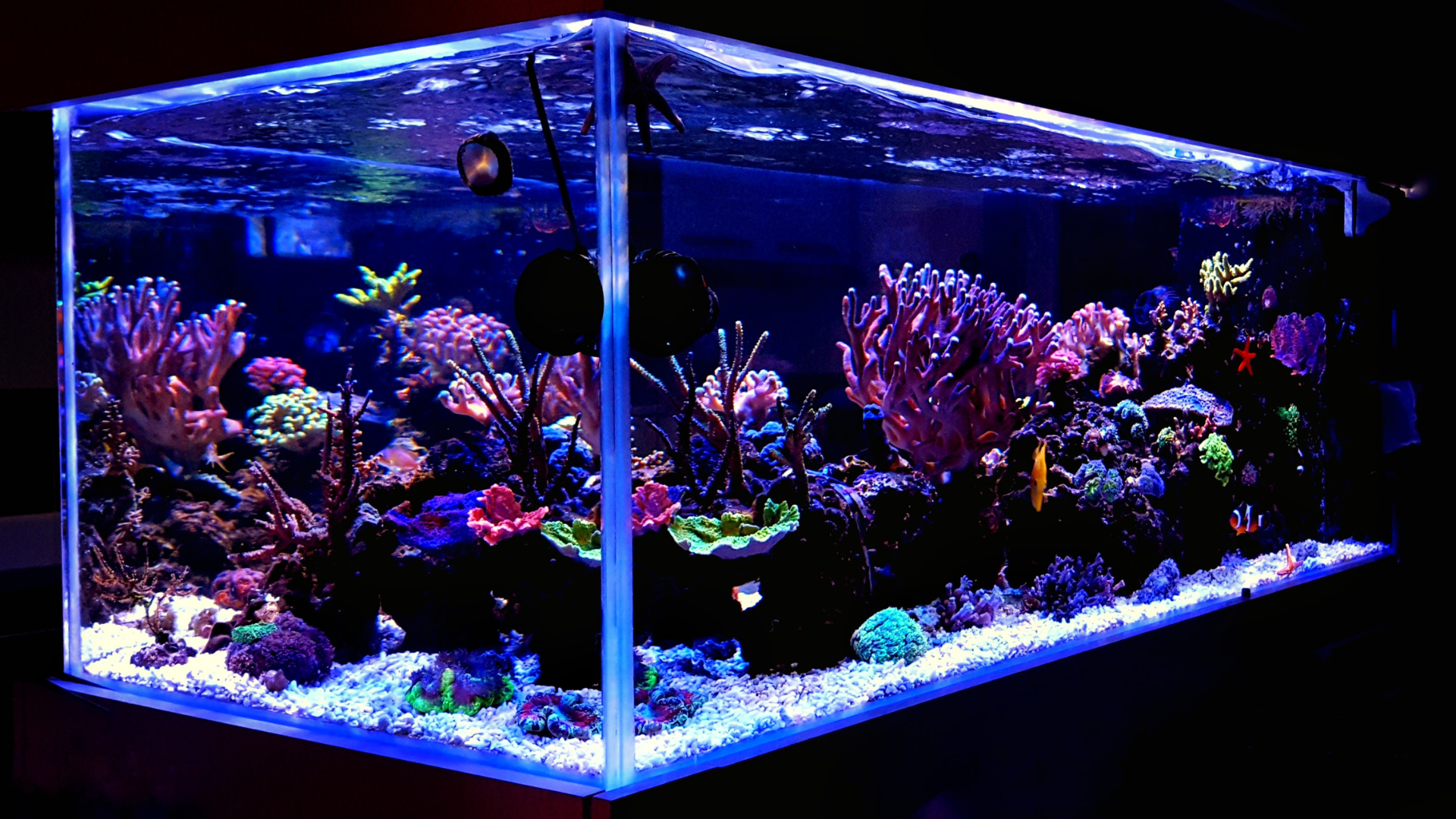 tank2
